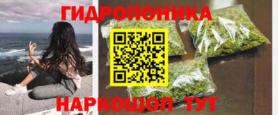 гашик Кунгур