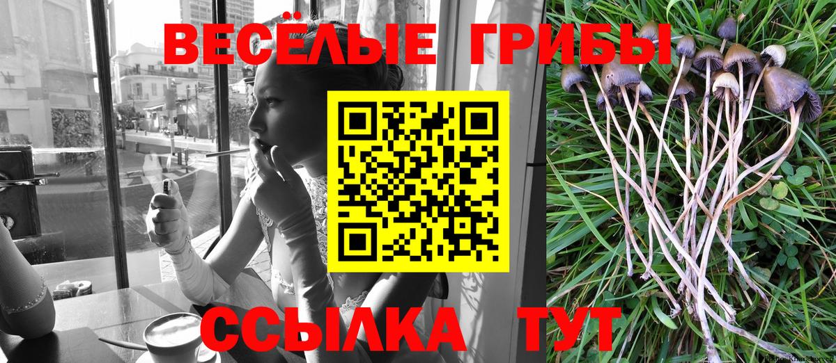 Галлюциногенные грибы Cubensis Алапаевск